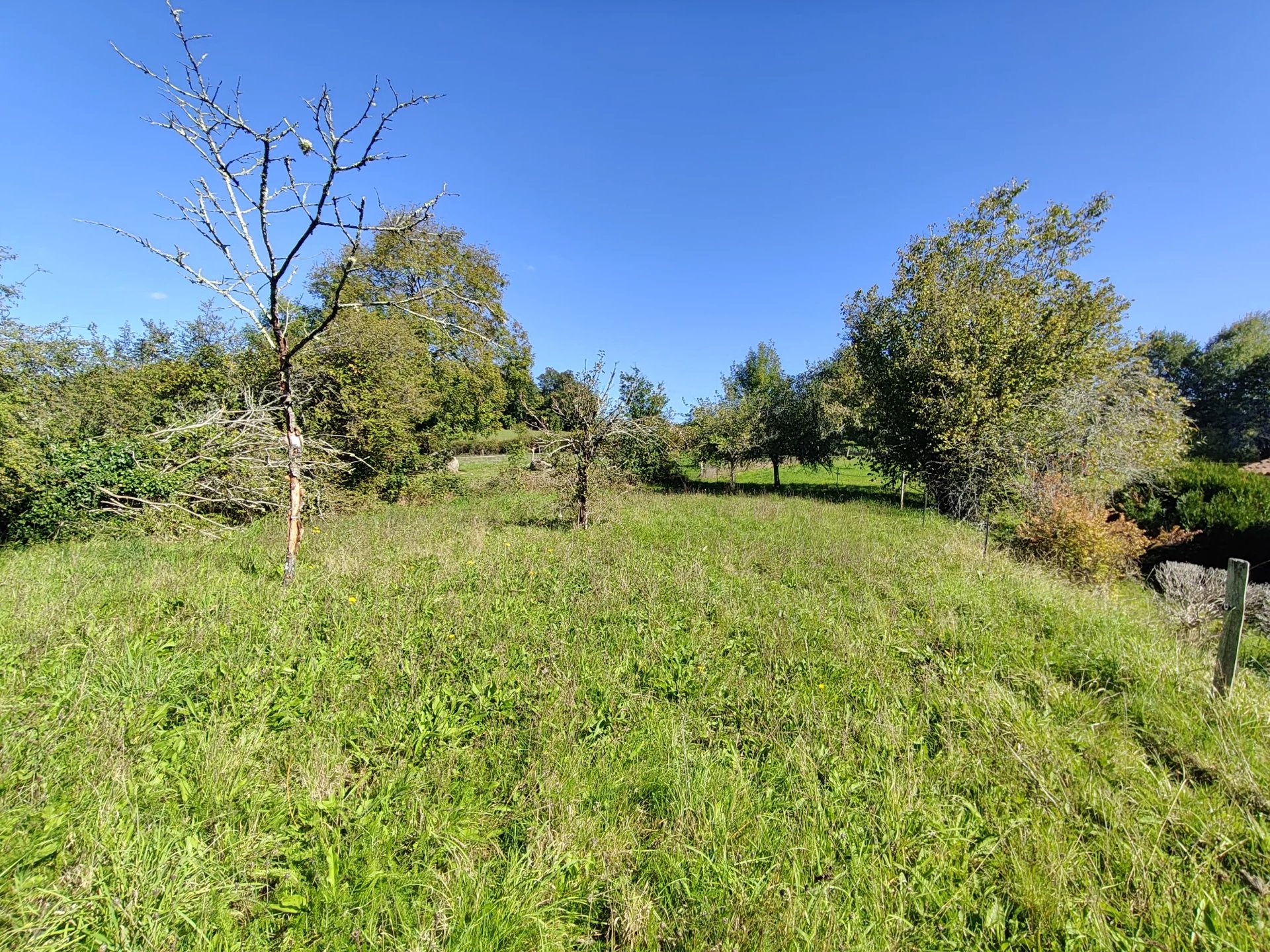 House with 3 bedrooms – to refresh, Aquitaine – France – BVI61457