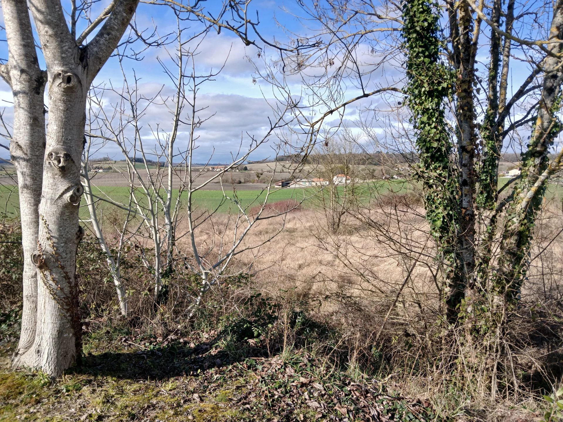 Building Plot for Sale Steps from St. Severin, Poitou-Charentes – France – BVI78868