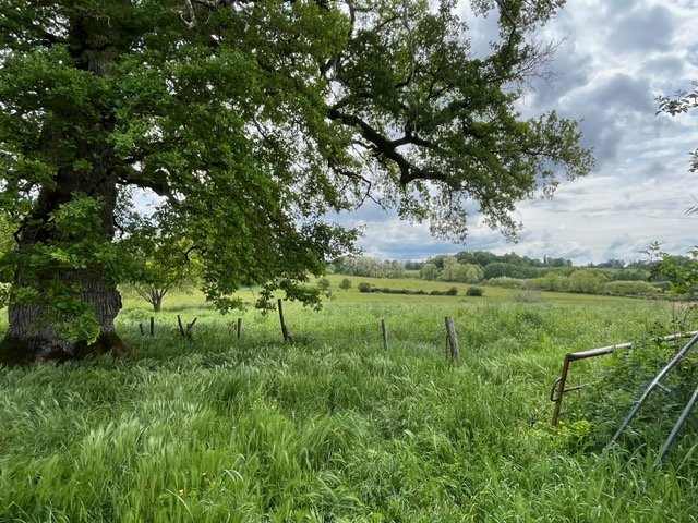 5 bedroom corps de ferme in Vayres, Haute-Vienne, France