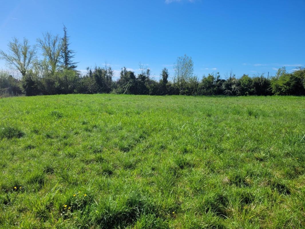 terrain in Castelnau Montratier, Lot, France – AFC0D088D16C4453