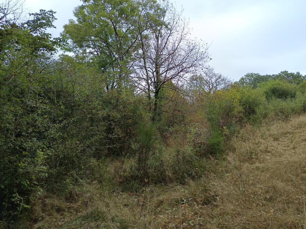 terrain agricole in Carmaux, Tarn, France – 34E26EF865AE4D02