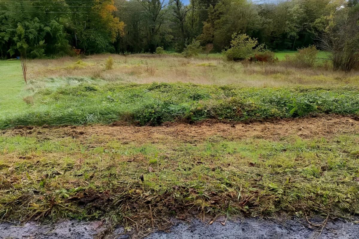 terrain in Lescure D’albigeois, Tarn, France