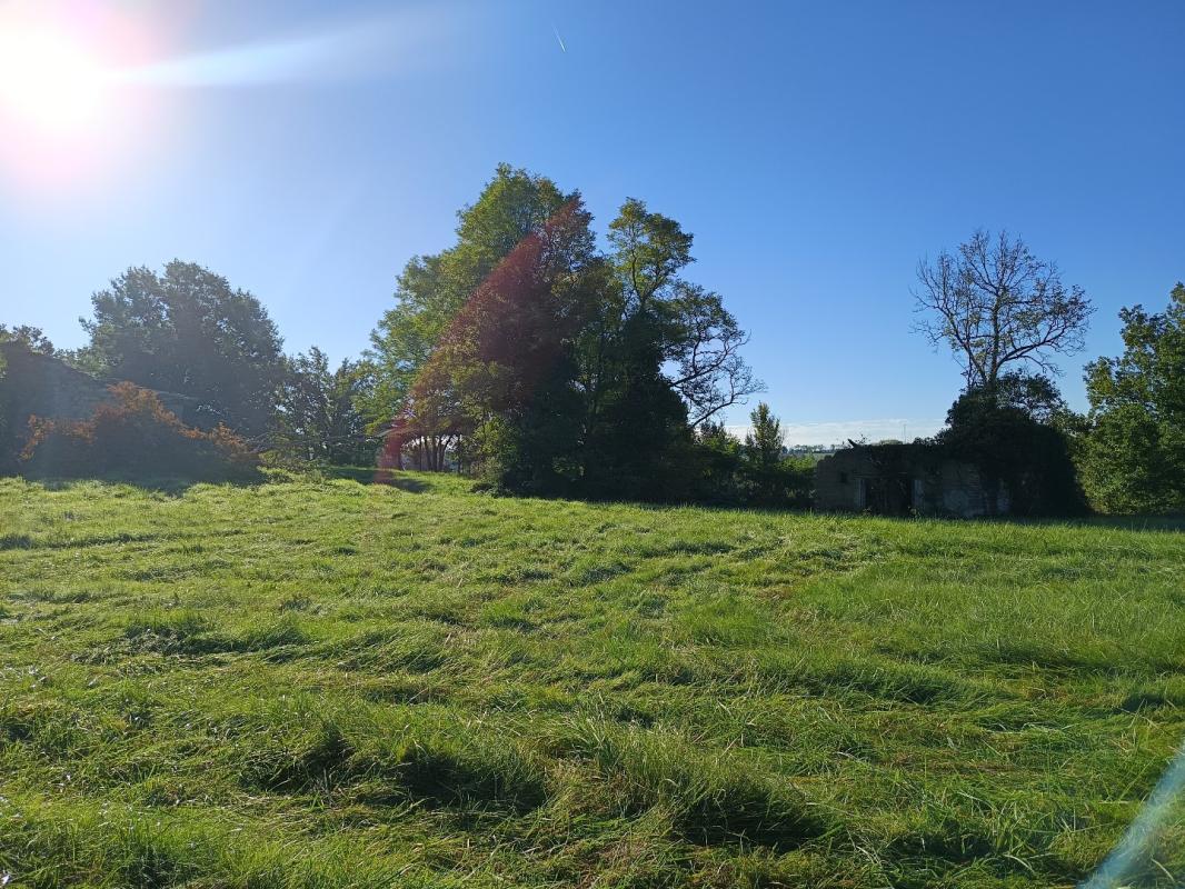 terrain agricole in Montdurausse, Tarn, France – FC6160790B4B4CF3