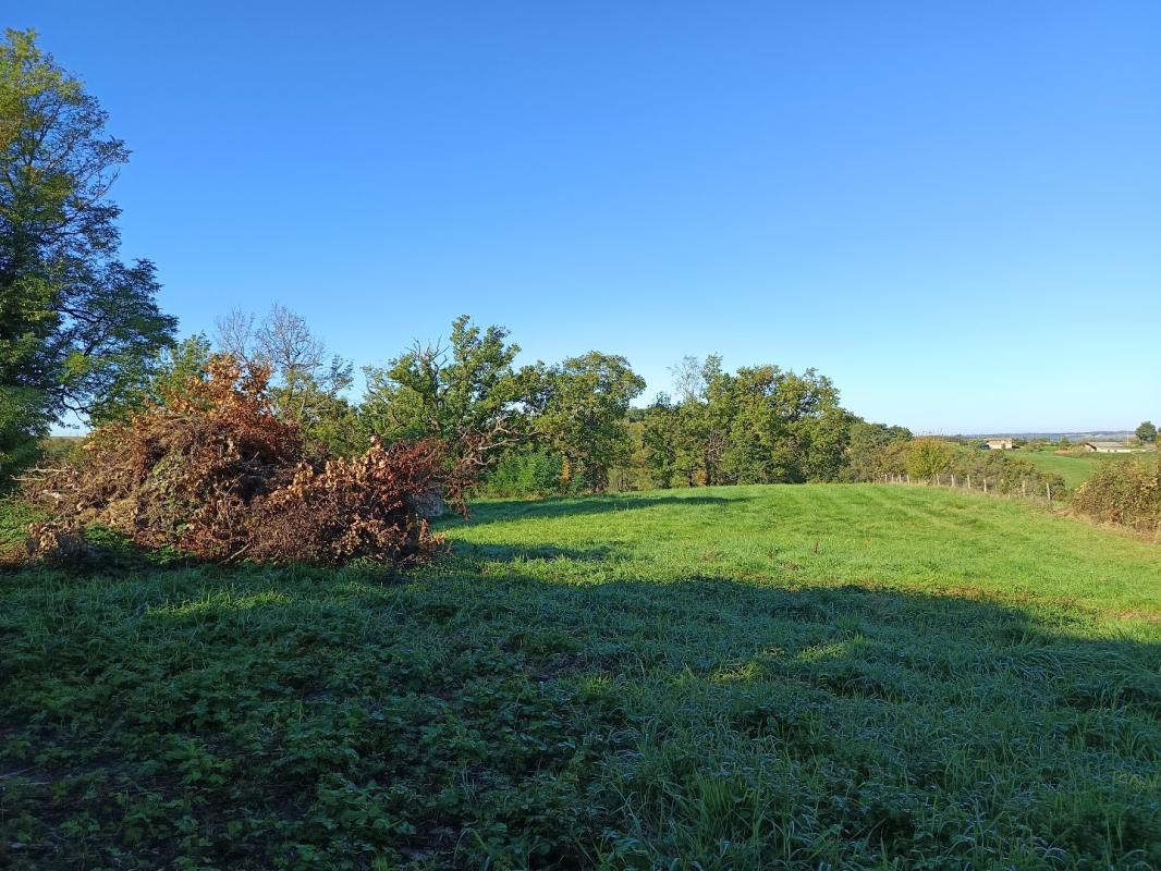 terrain agricole in Montdurausse, Tarn, France – FC6160790B4B4CF3