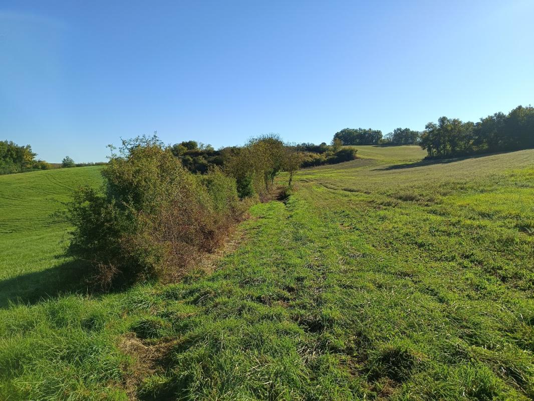 terrain agricole in Montdurausse, Tarn, France – FC6160790B4B4CF3