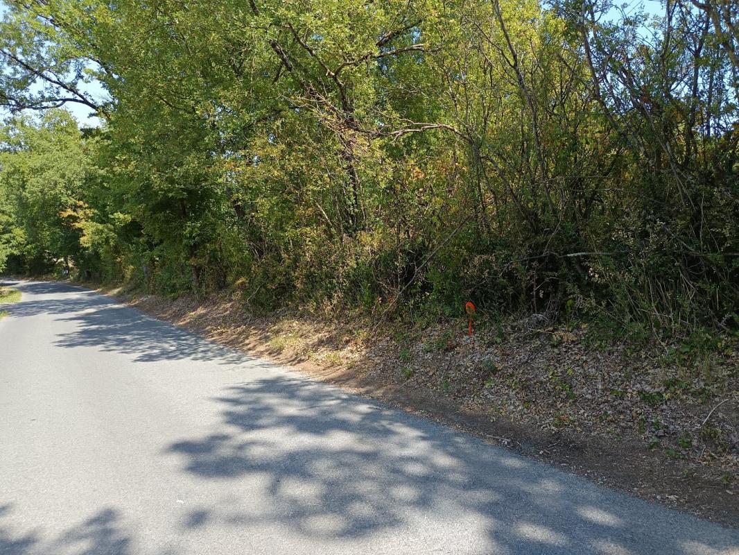 terrain in Saix, Tarn, France – 4441B53085104676