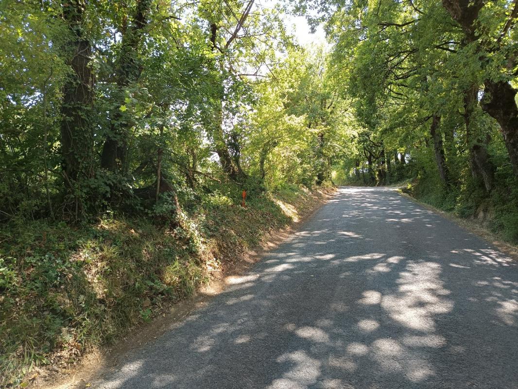 terrain in Saix, Tarn, France – 9CD93FC4CB5741F6