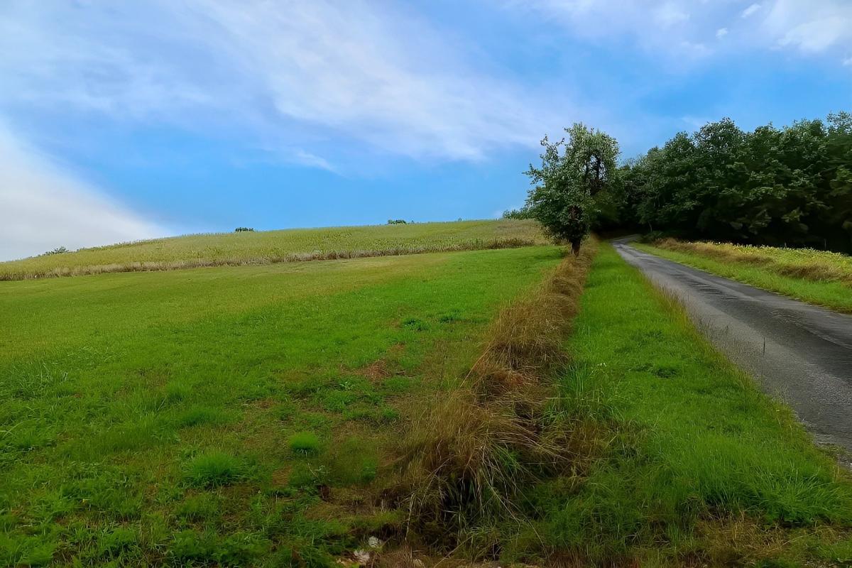 terrain a batir in La Sauziere Saint Jean, Tarn, France – 8E1D2AD8E4EA42CD