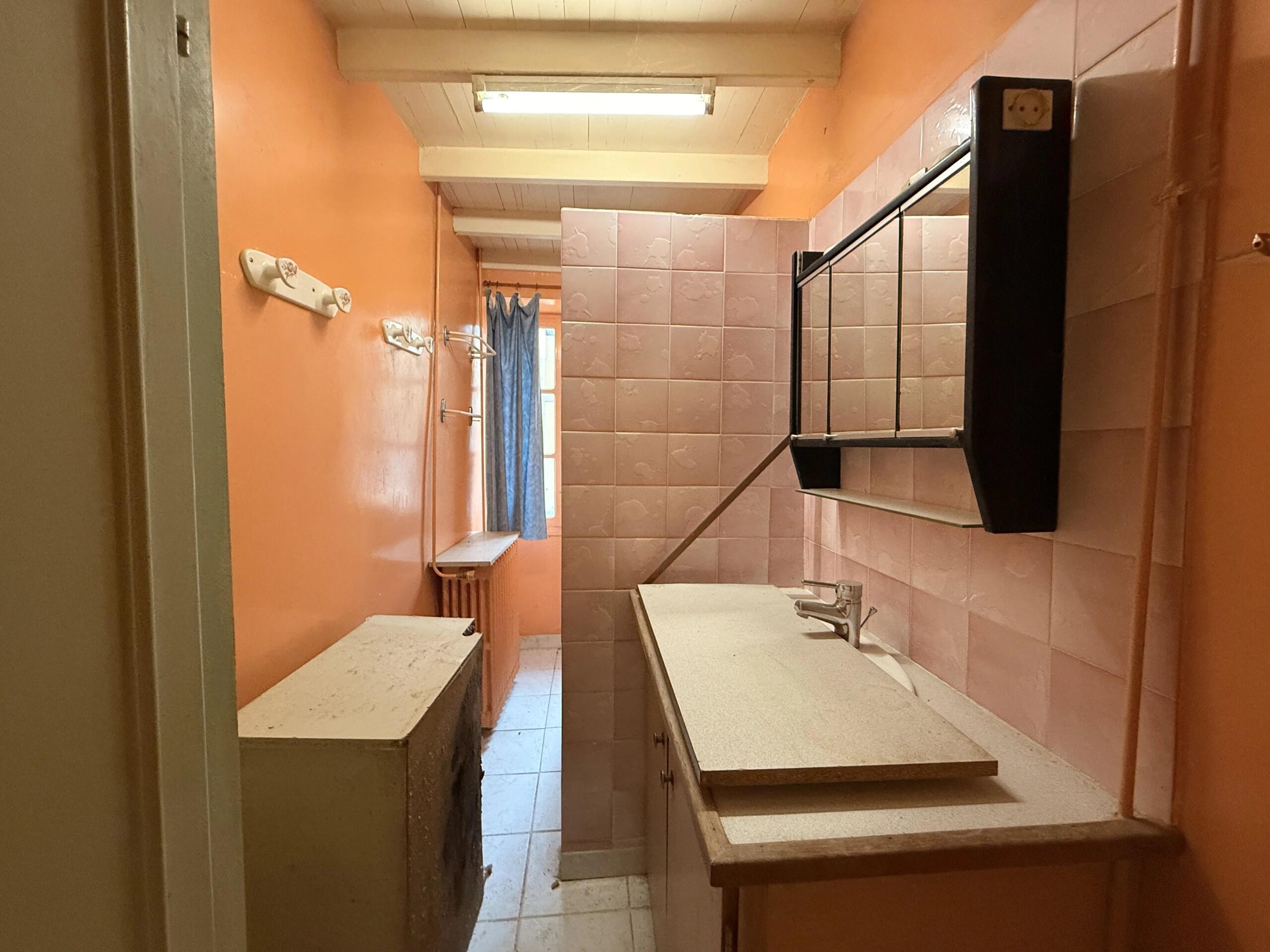 Renovation project with 2 bedrooms, outbuildings, and a garage, Poitou-Charentes – France – BVI83869