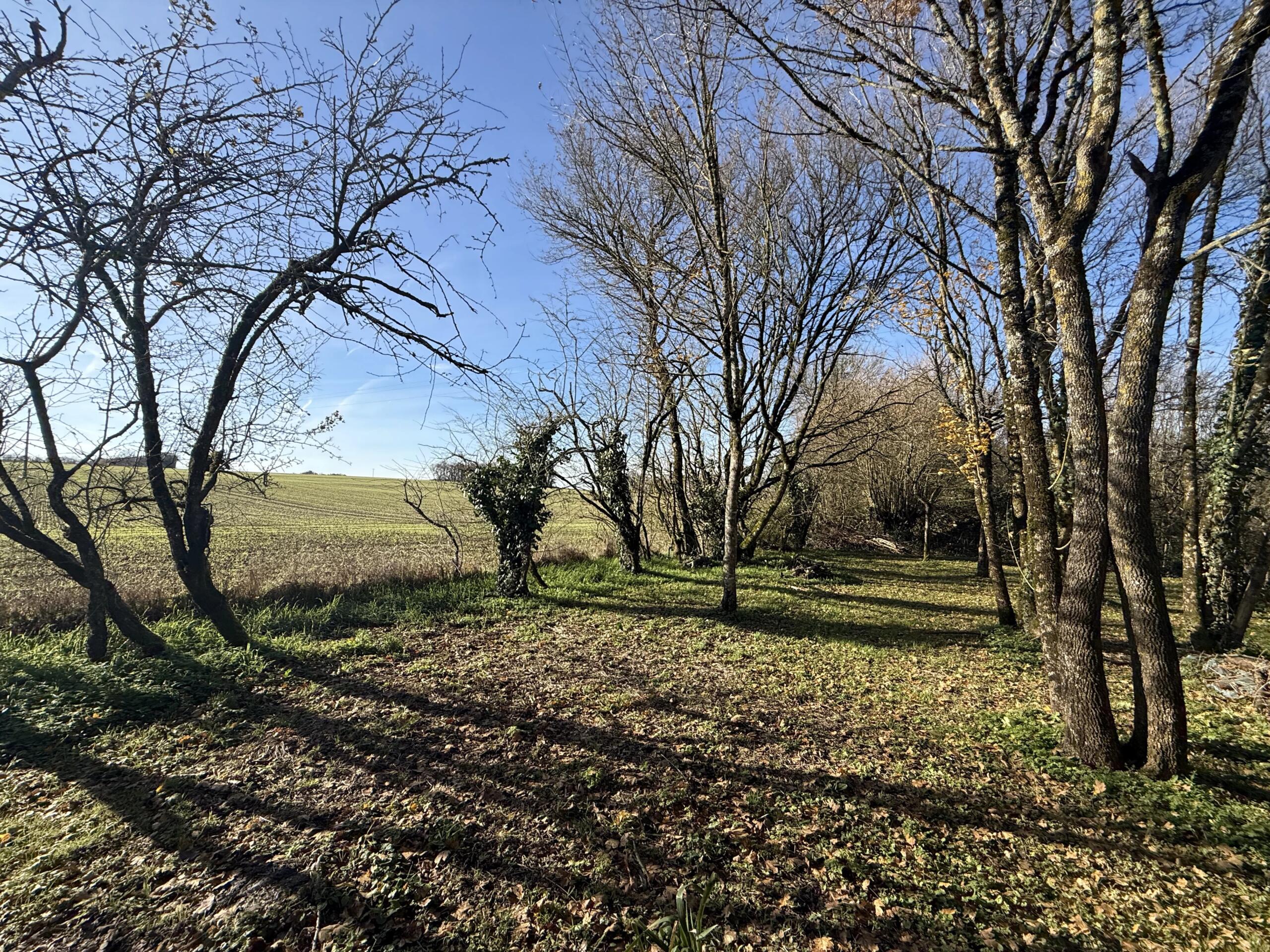 A large character property with an annex, outbuildings, and a fabulous view, Poitou-Charentes – France – BVI83901