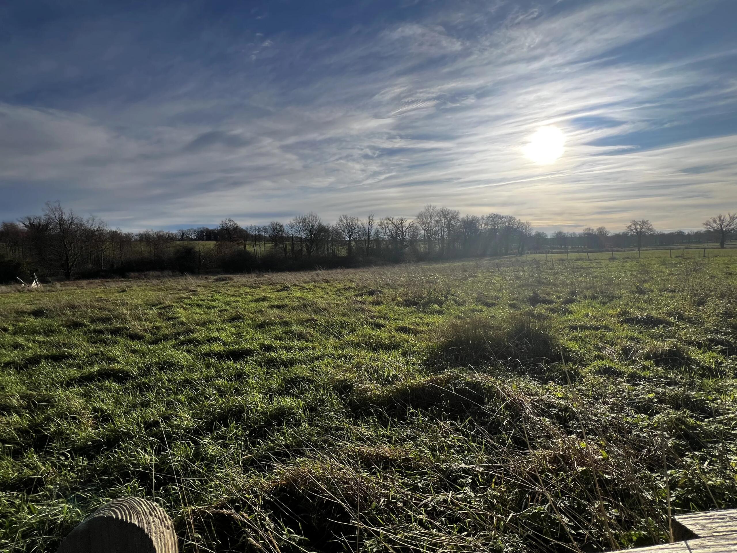 Barns for possible renovation, with over 5500m² of land, Limousin – France – BVI83963