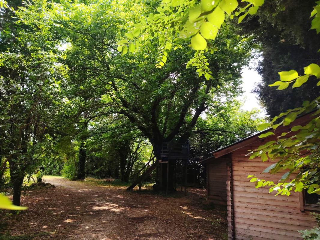 4 bedroom maison individuelle in Carpentras, Vaucluse, France