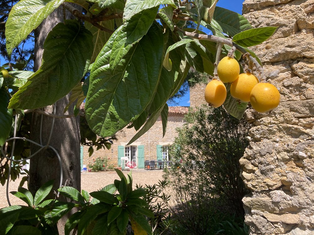 18 bedroom mas in Bagard, Gard, France