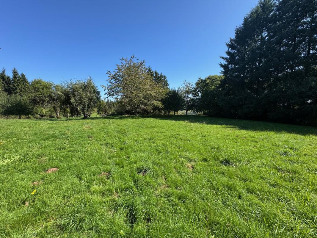 3 bedroom corps de ferme in Montsalvy, Cantal, France