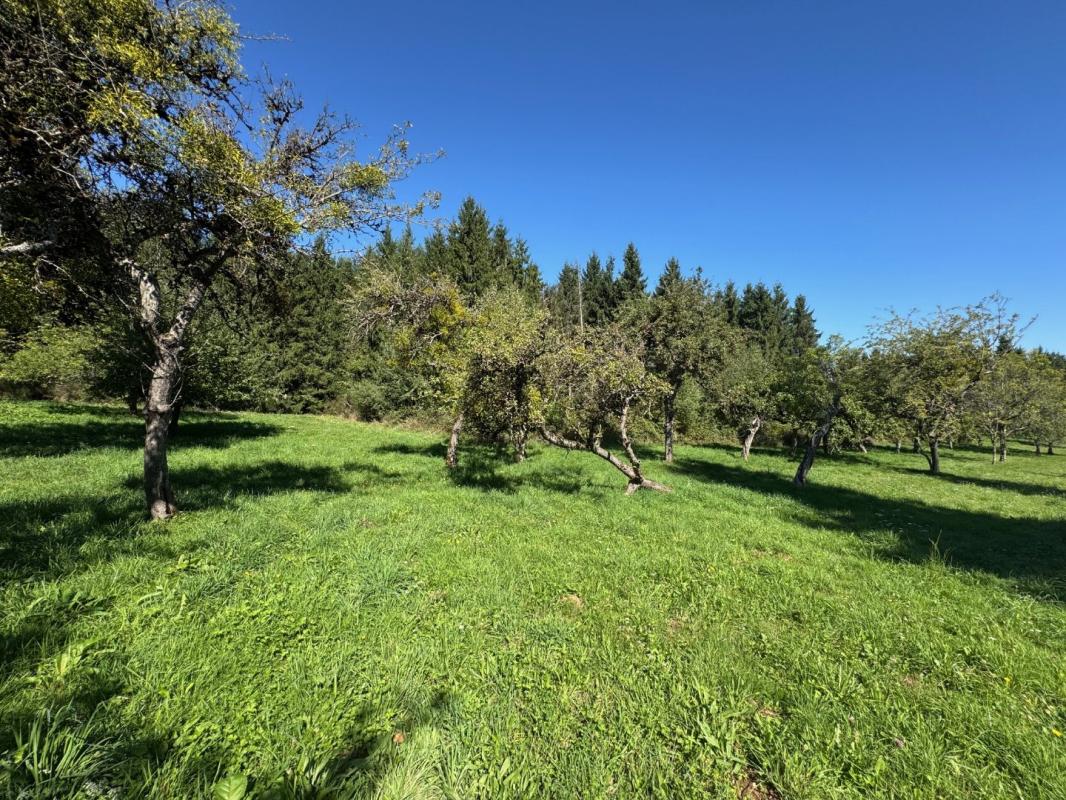 3 bedroom corps de ferme in Montsalvy, Cantal, France