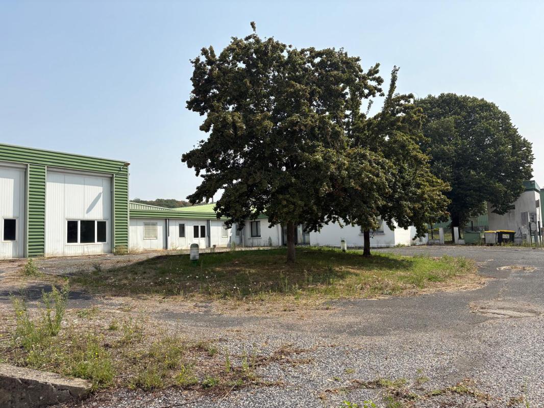 bien d’entreprise ou commerce (professionnels) in Carmaux, Tarn, France