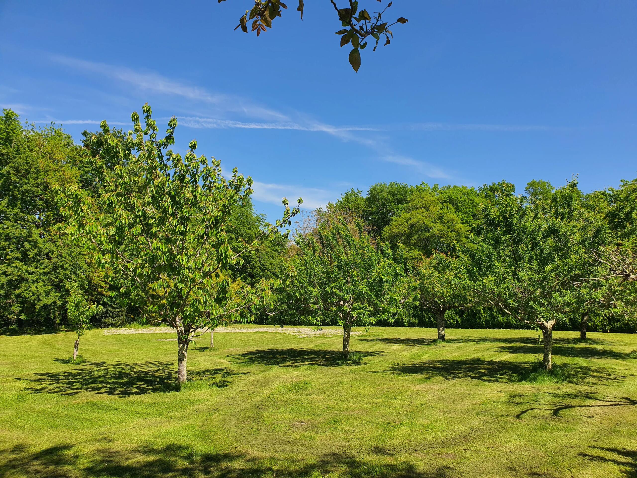 Main house, guest house and 4.2ha of land – ideal for equestrian use, Aquitaine – France – BVI80859