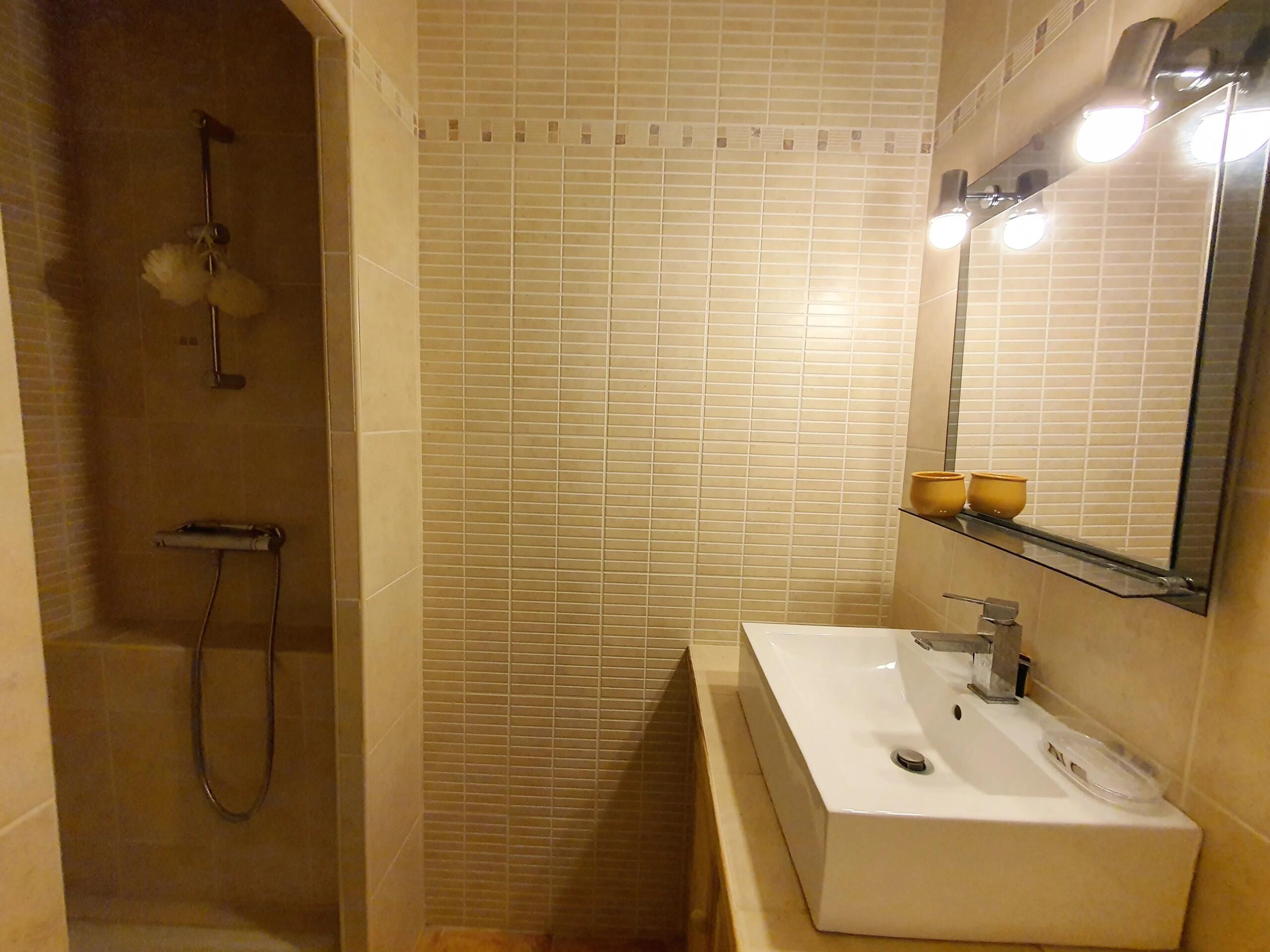 Main house, guest house and 4.2ha of land – ideal for equestrian use, Aquitaine – France – BVI80859