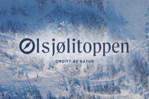 Norway Cabin Plots