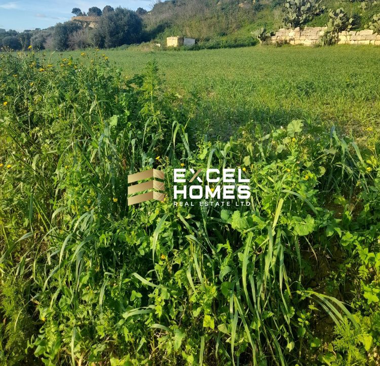 Agricultural Land in Marsalforn, Malta – 65745