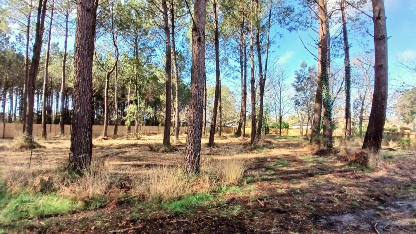 terrain in Seignosse, Landes, France