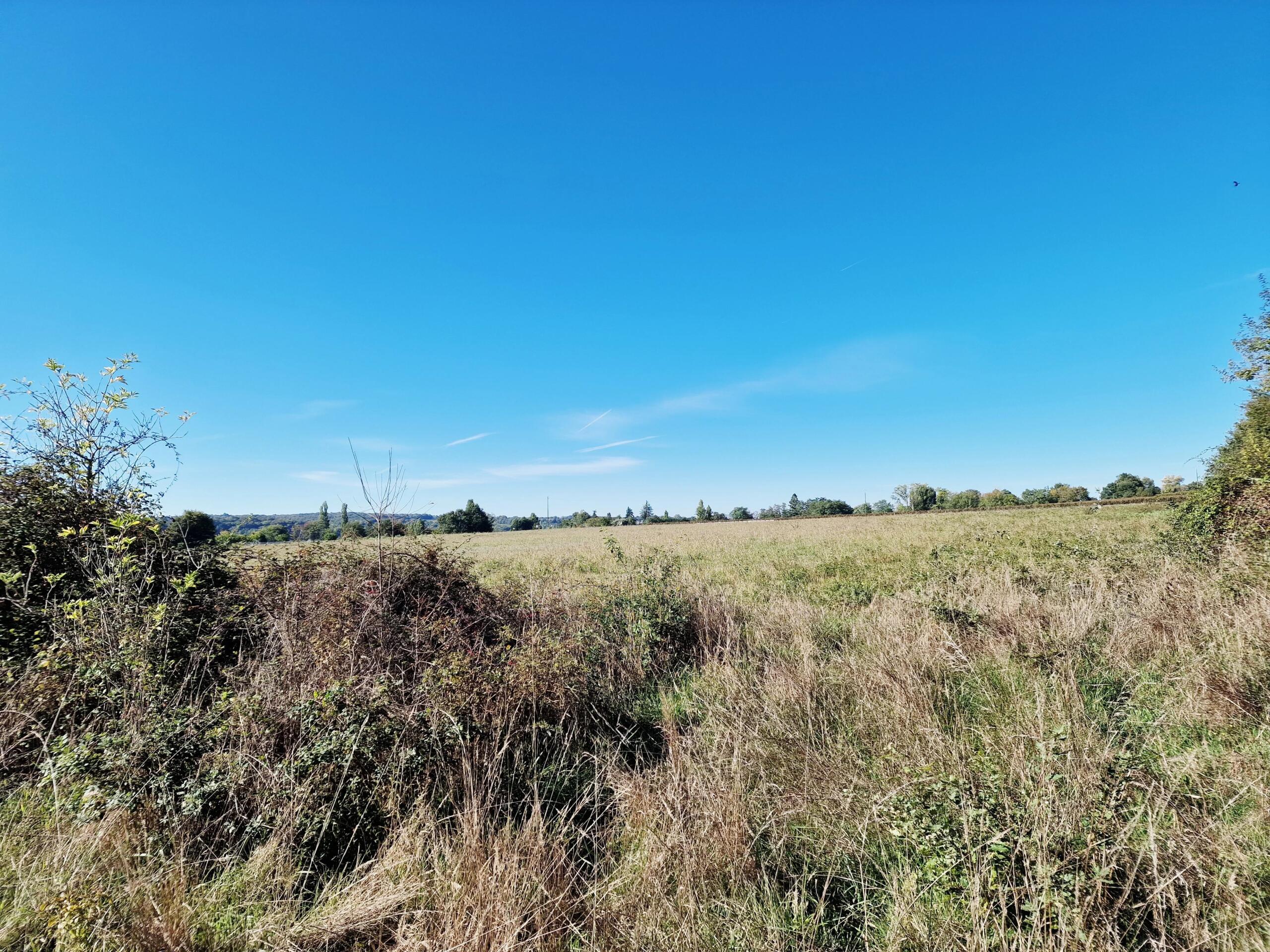 Charming French Country Farmhouse to Renovate, Aquitaine – France – BVI83249