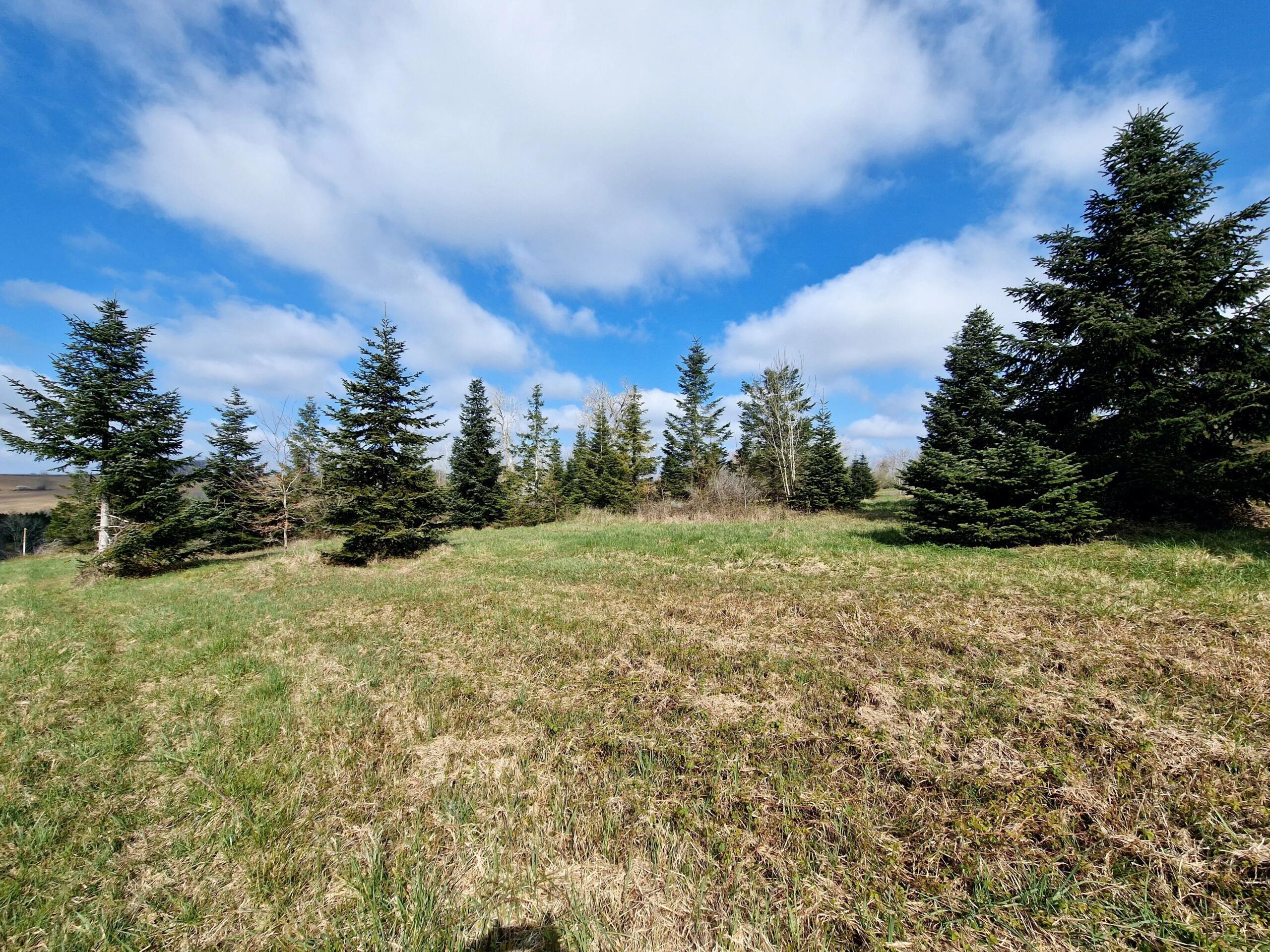 Spacious building plot with planning permission, close to Monségur, Aquitaine – France – BVI84054