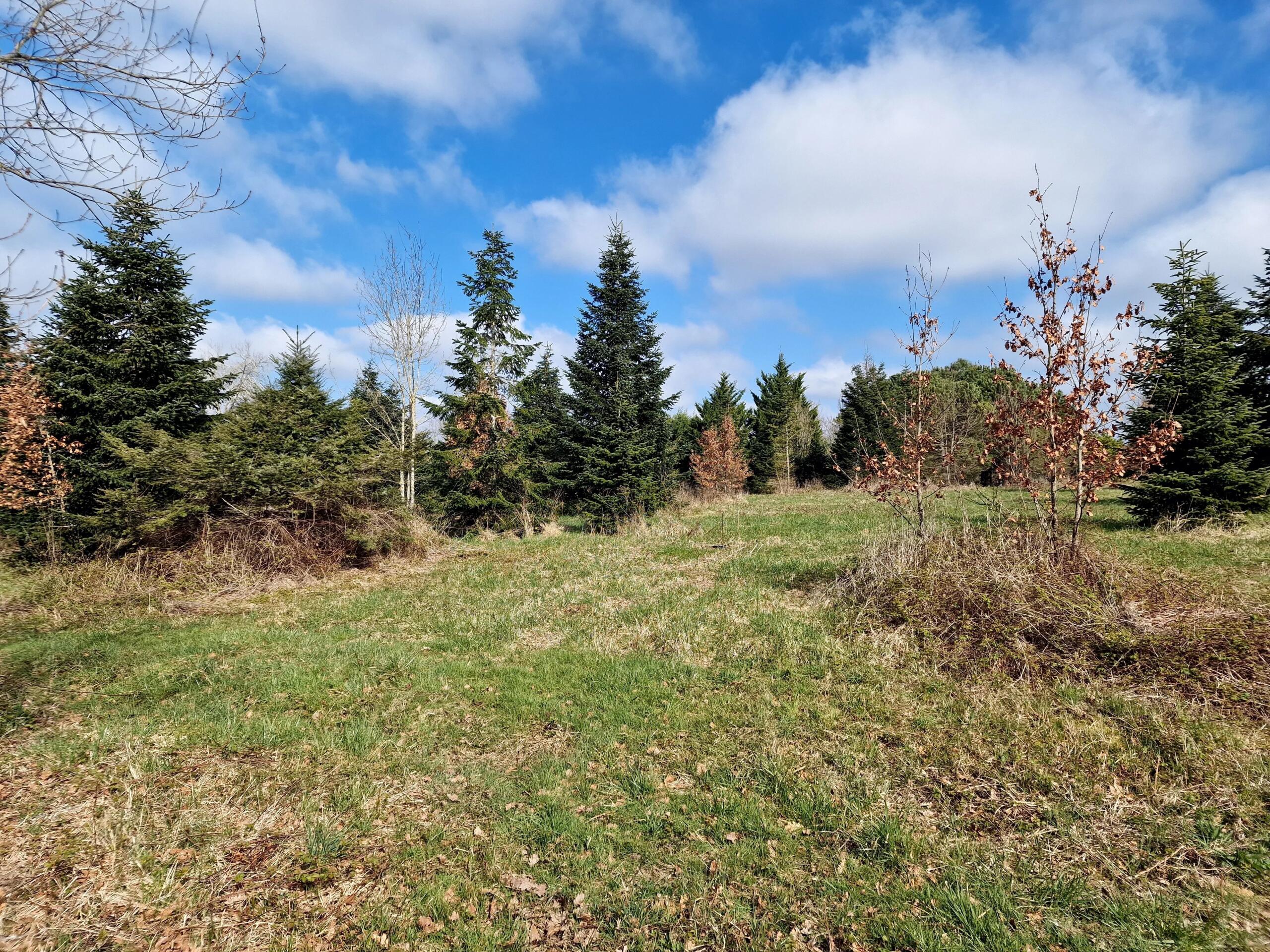 Spacious building plot with planning permission, close to Monségur, Aquitaine – France – BVI84054