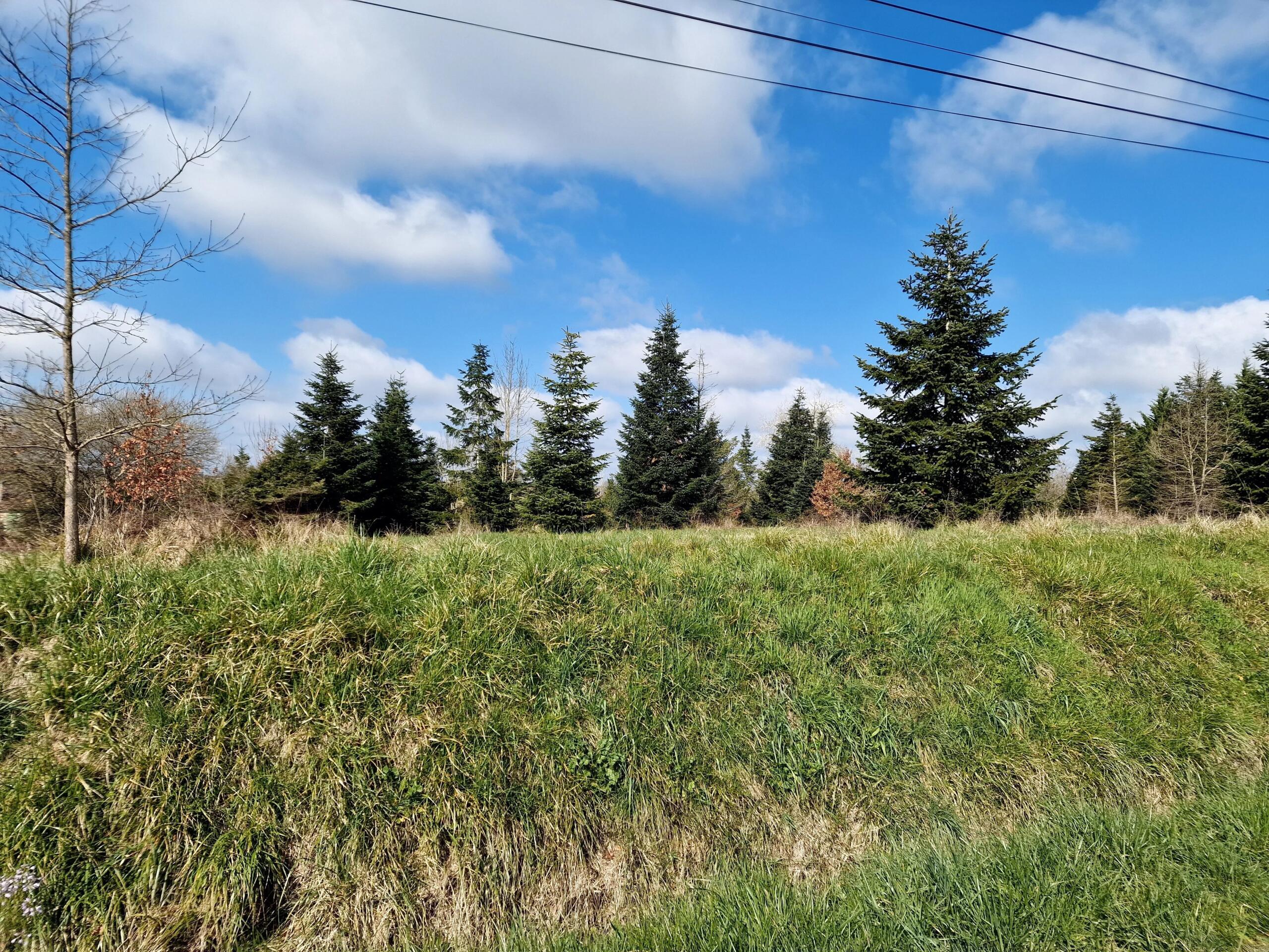 Spacious building plot with planning permission, close to Monségur, Aquitaine – France – BVI84054