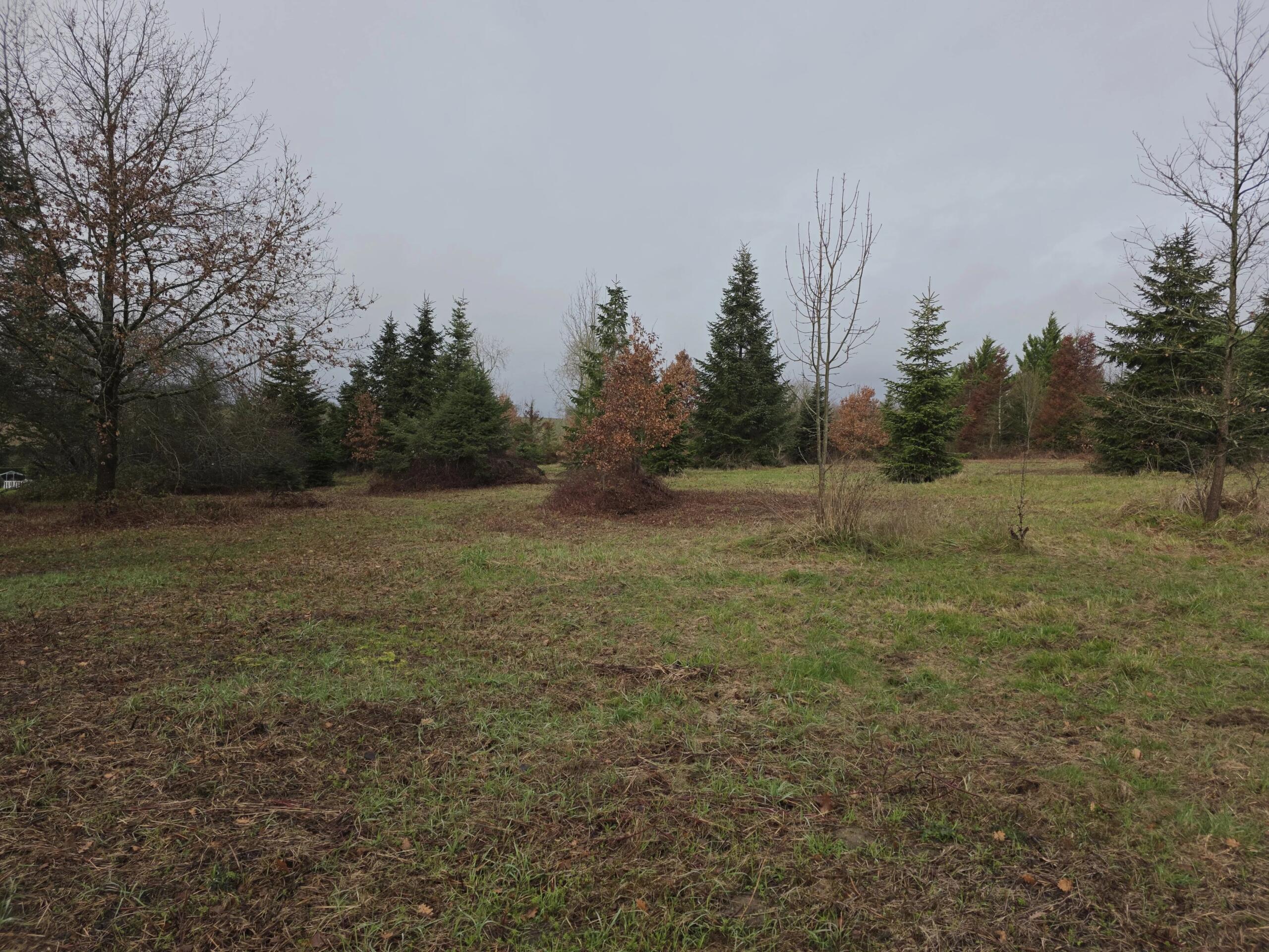 Spacious building plot with planning permission, close to Monségur, Aquitaine – France – BVI84054