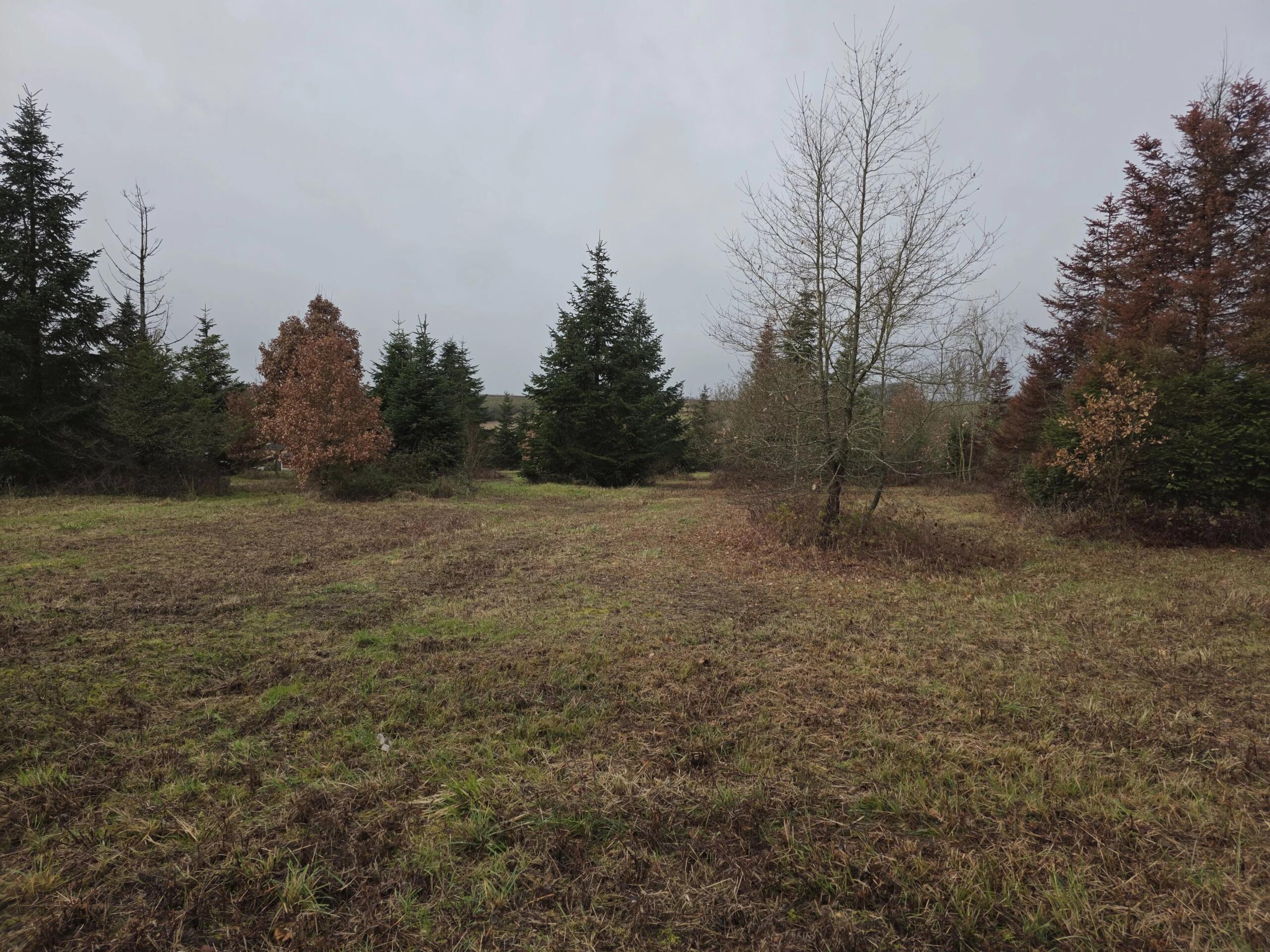 Spacious building plot with planning permission, close to Monségur, Aquitaine – France – BVI84054