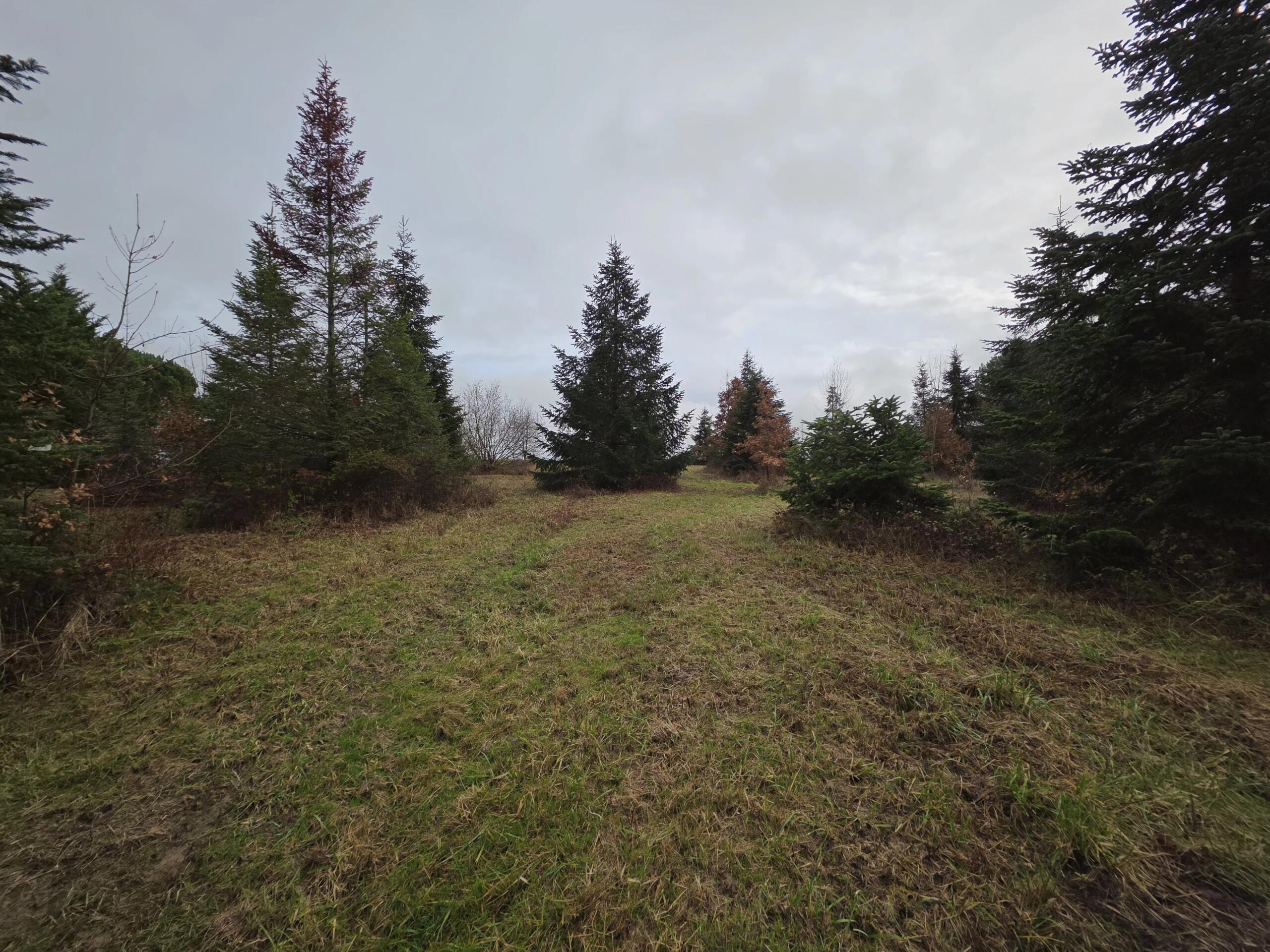 Spacious building plot with planning permission, close to Monségur, Aquitaine – France – BVI84054