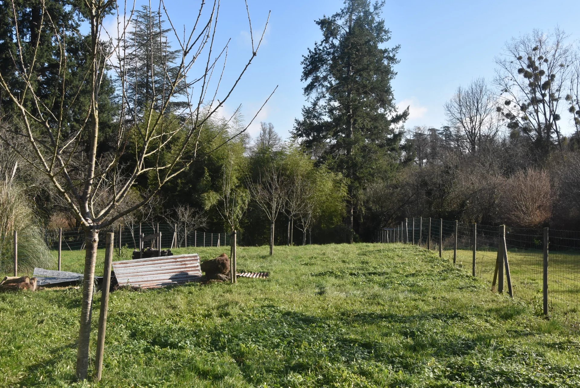 Tiny house to renovate, with large living room, Poitou-Charentes – France – BVI77630