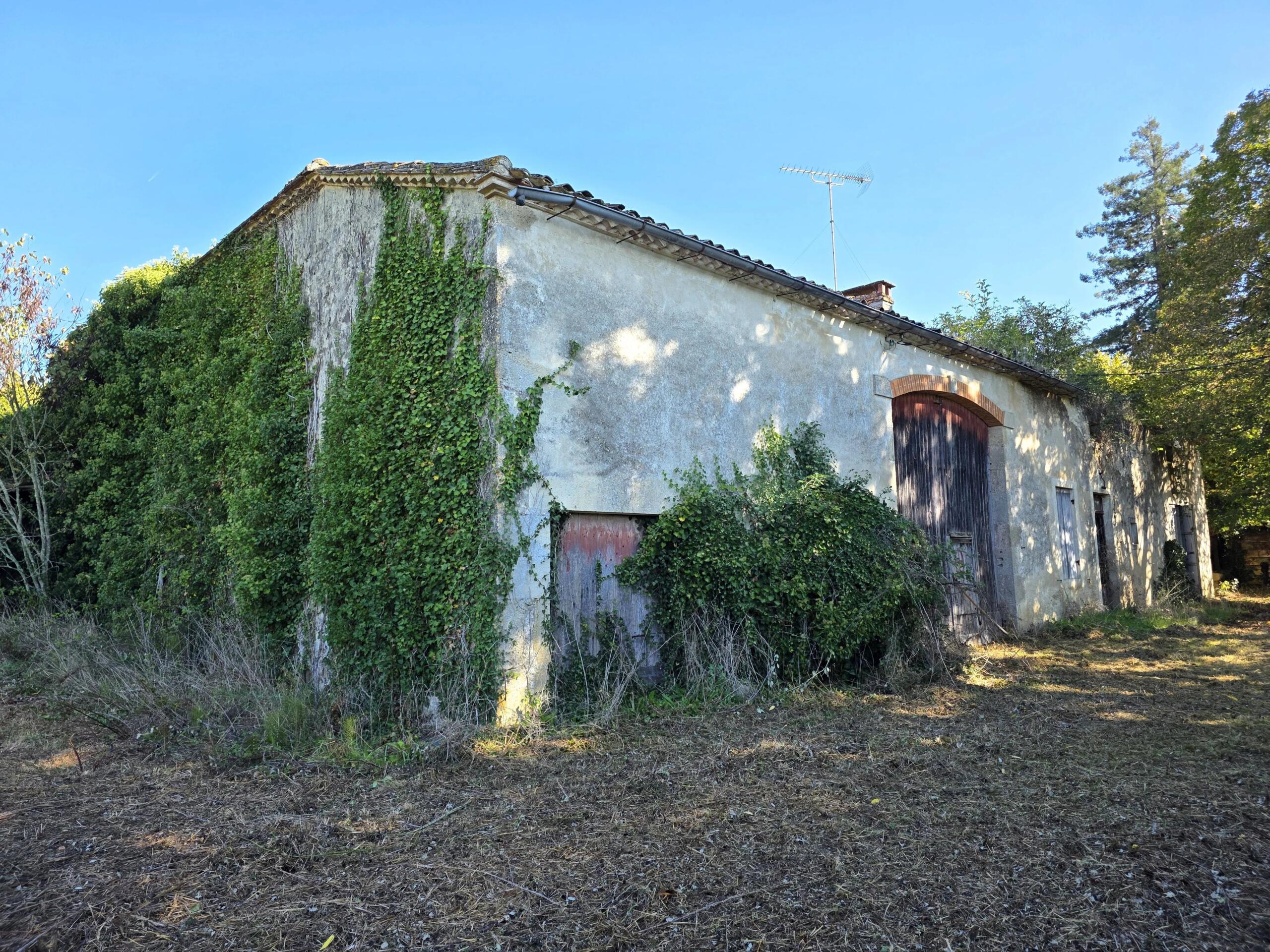 Characterful French Farmhouse with Barns – Major Renovation Opportunity, Aquitaine – France – BVI83272