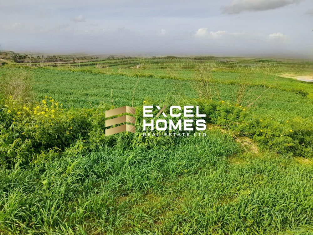Agricultural Land in Munxar, Malta – 65933