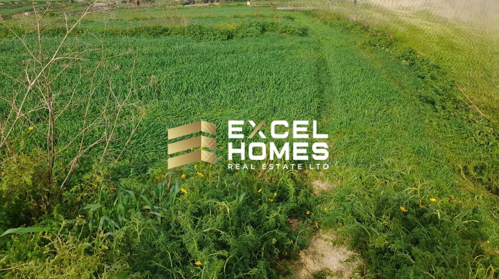 Agricultural Land in Munxar, Malta – 65933