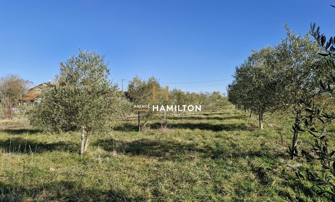 7 bedroom propriete in Cordes Sur Ciel, Tarn, France