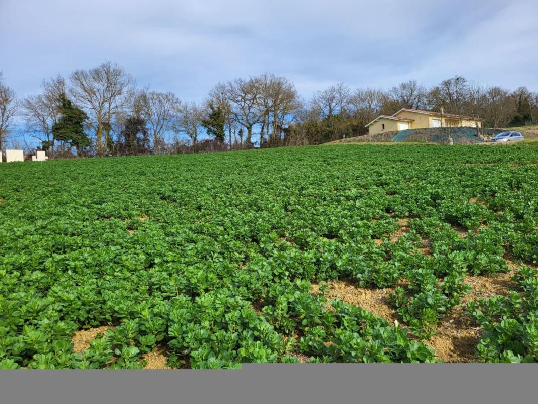 terrain in Puycasquier, Gers, France