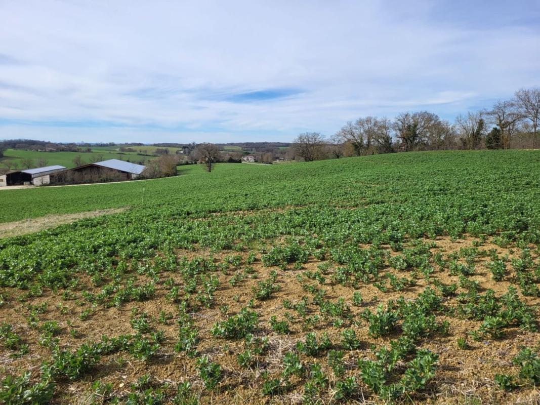 terrain in Puycasquier, Gers, France