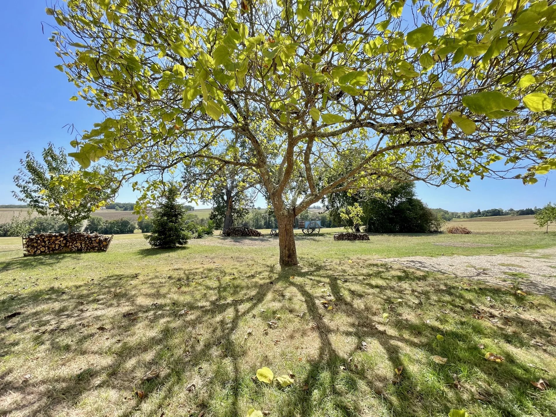 Stone Property- Charm, Quiet and Potential near Nérac and Agen, Aquitaine – France – BVI80795