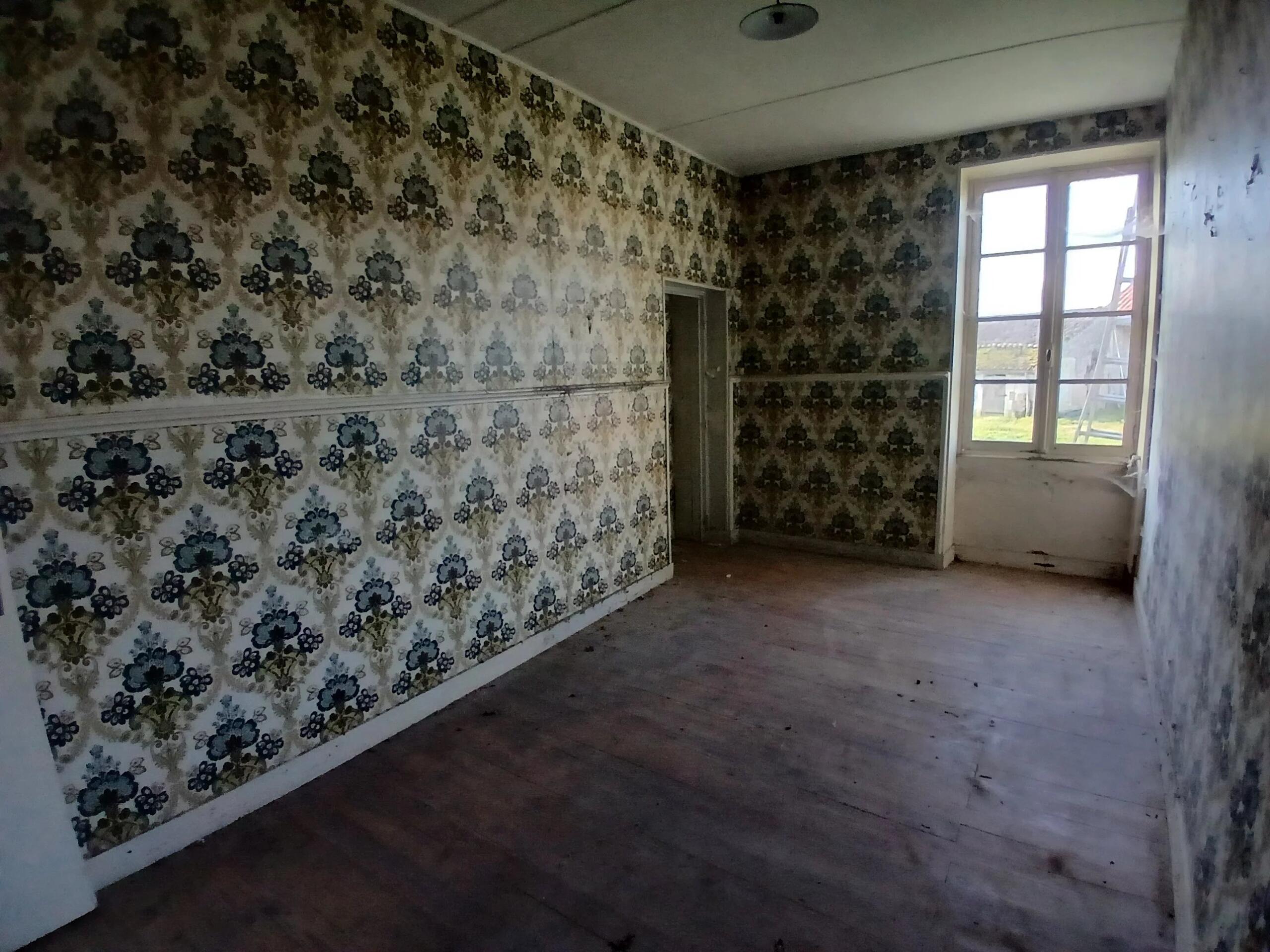 Magnificent stone farmhouse with cottage, workshop and stone hangar to renovate, Poitou-Charentes – France – BVI84120