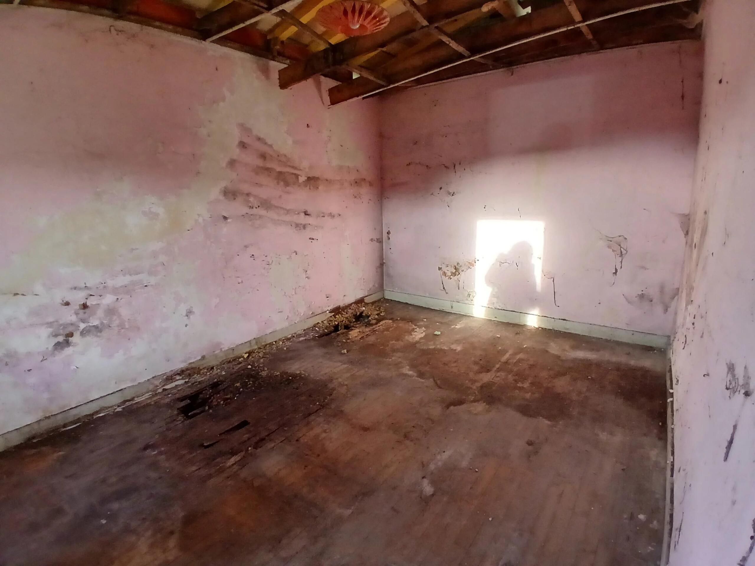 Magnificent stone farmhouse with cottage, workshop and stone hangar to renovate, Poitou-Charentes – France – BVI84120