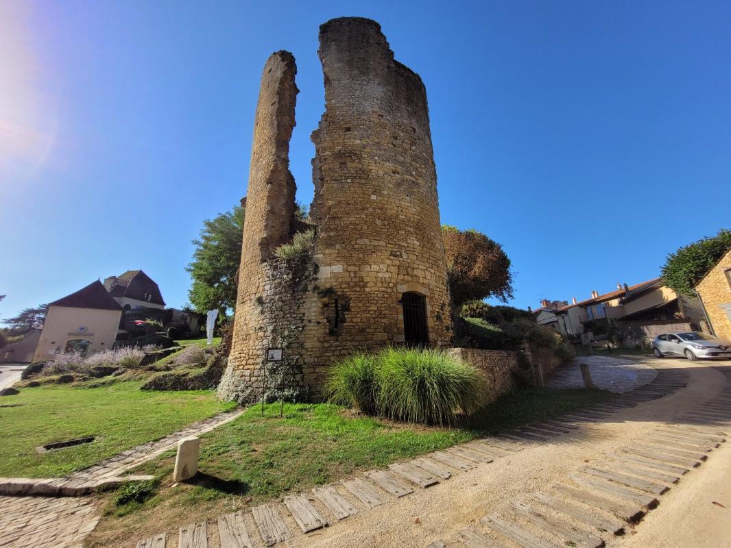 6 bedroom maison in Sainte Alvere, Dordogne, France