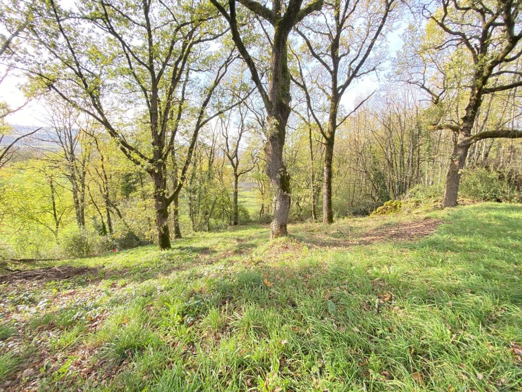 terrain in Prudhomat, Lot, France