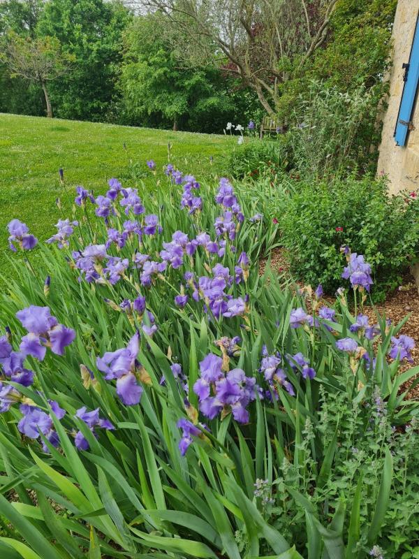 4 bedroom maison in Miradoux, Gers, France