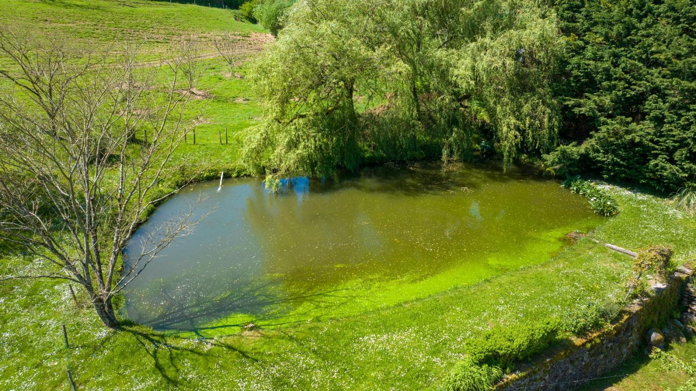 8 bedroom maison in Argentat, Corrèze, France