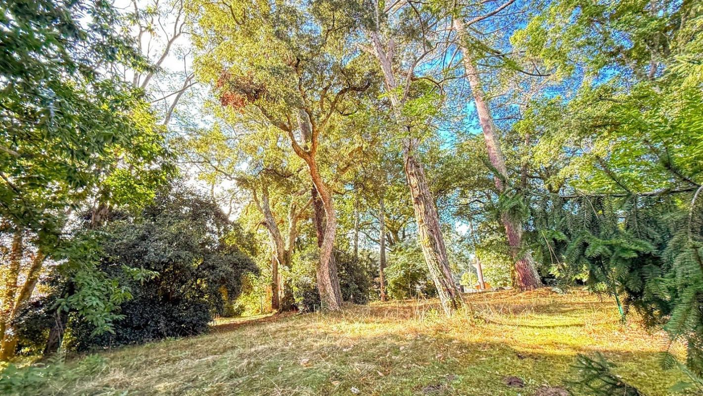 10 bedroom propriete in Soorts Hossegor, Landes, France