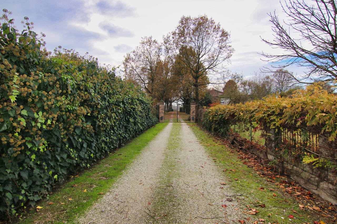 Bomporto, listen to the silence of the countryside and the flow of the river – V003243