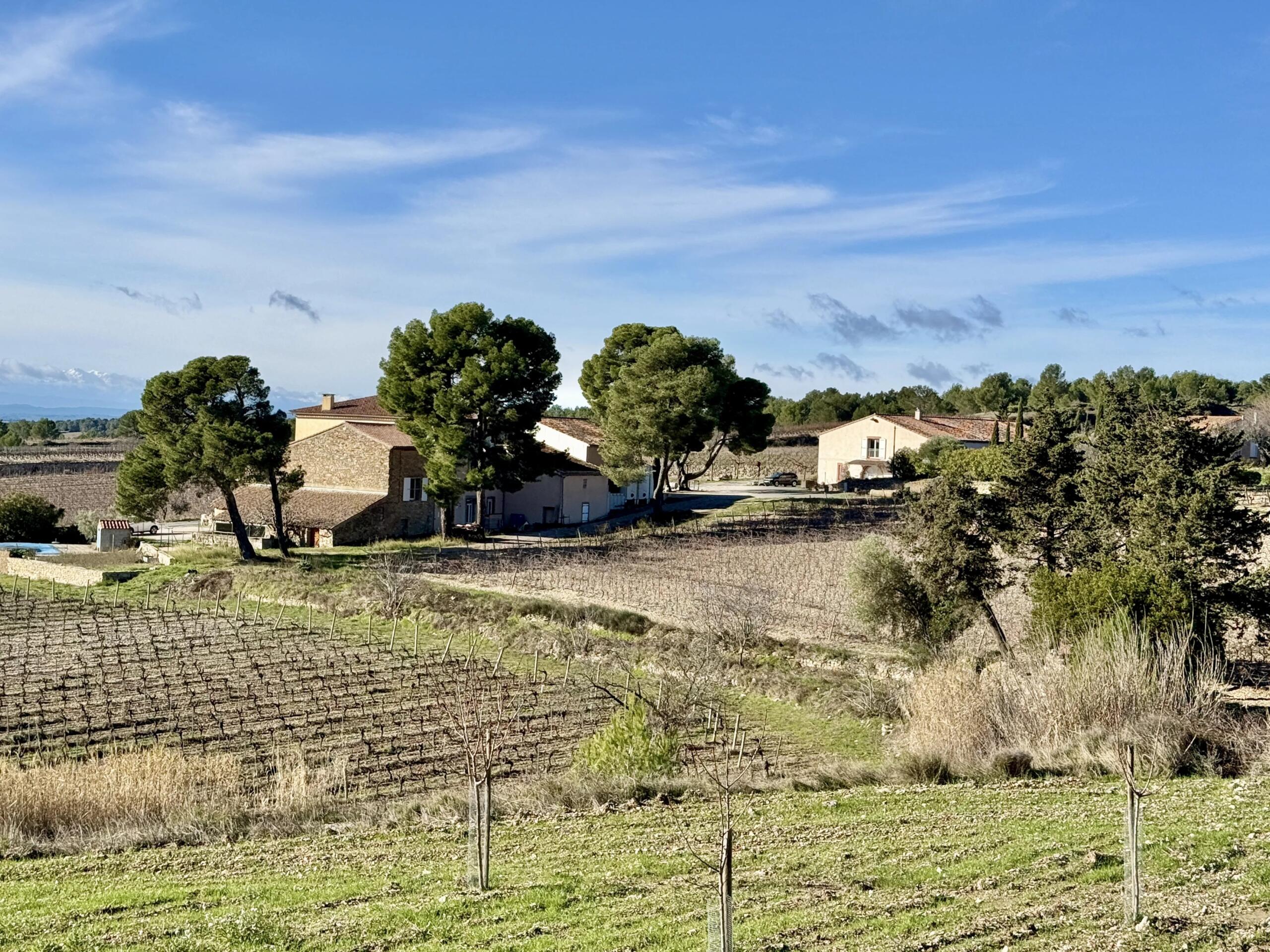 Exceptional Wine Estate – Cru La Livinière / Minervois AOP, Languedoc-Roussillon – France – BVI83985