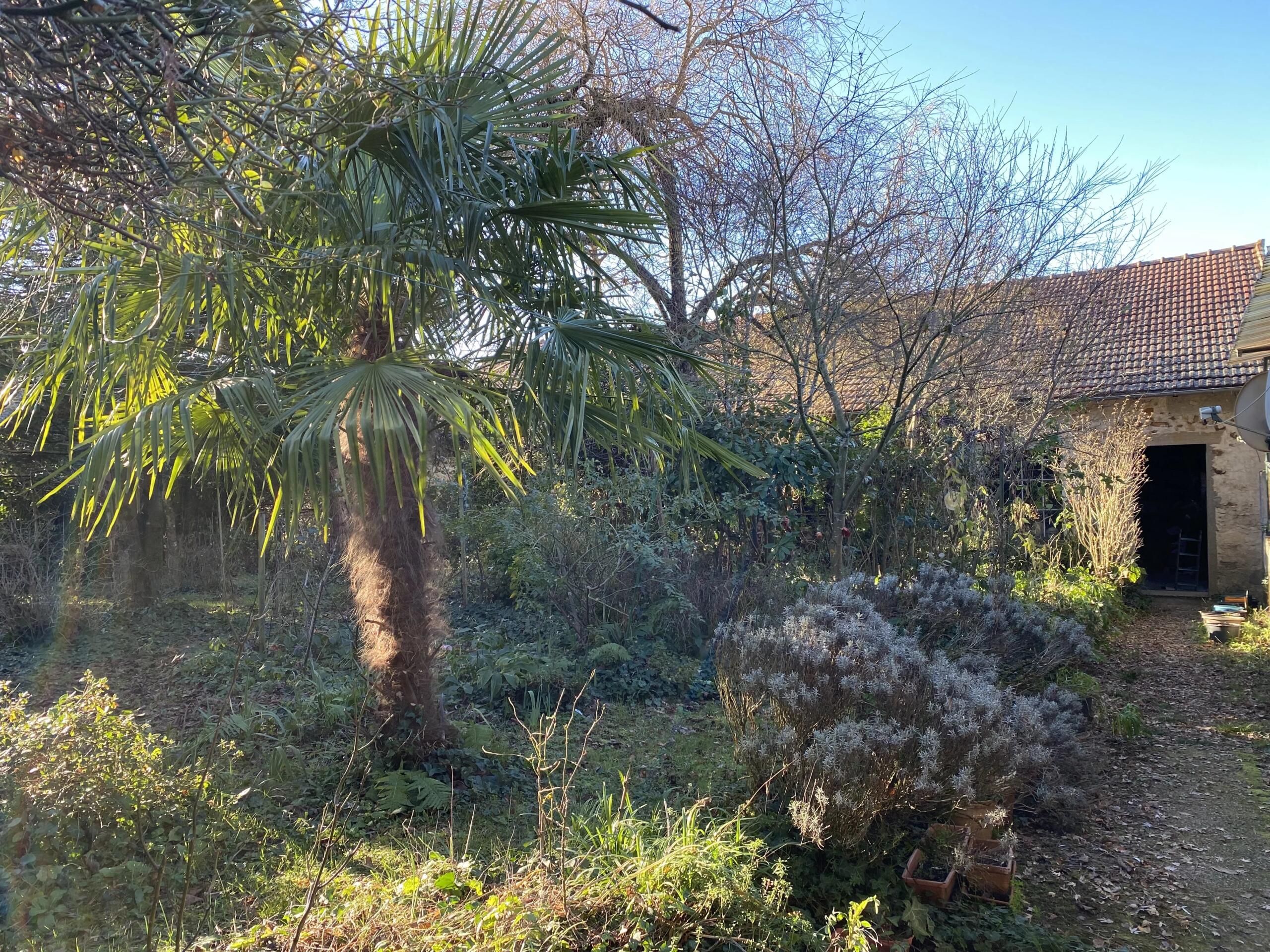 Village house with garden and large barn, Limousin – France – BVI83975